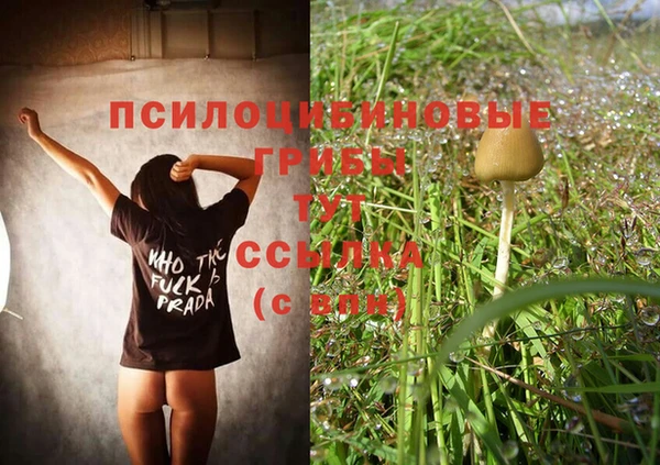 ГАЛЛЮЦИНОГЕННЫЕ ГРИБЫ Куйбышев