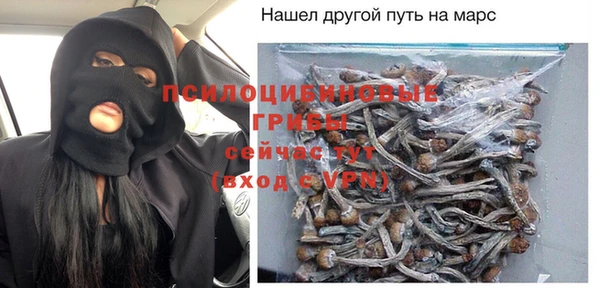 гидра Лабытнанги