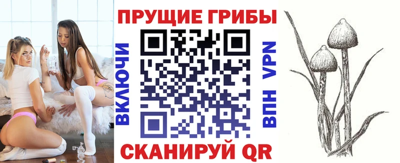 Купить закладки  Клин  Псилоцибиновые грибы мухоморы 
